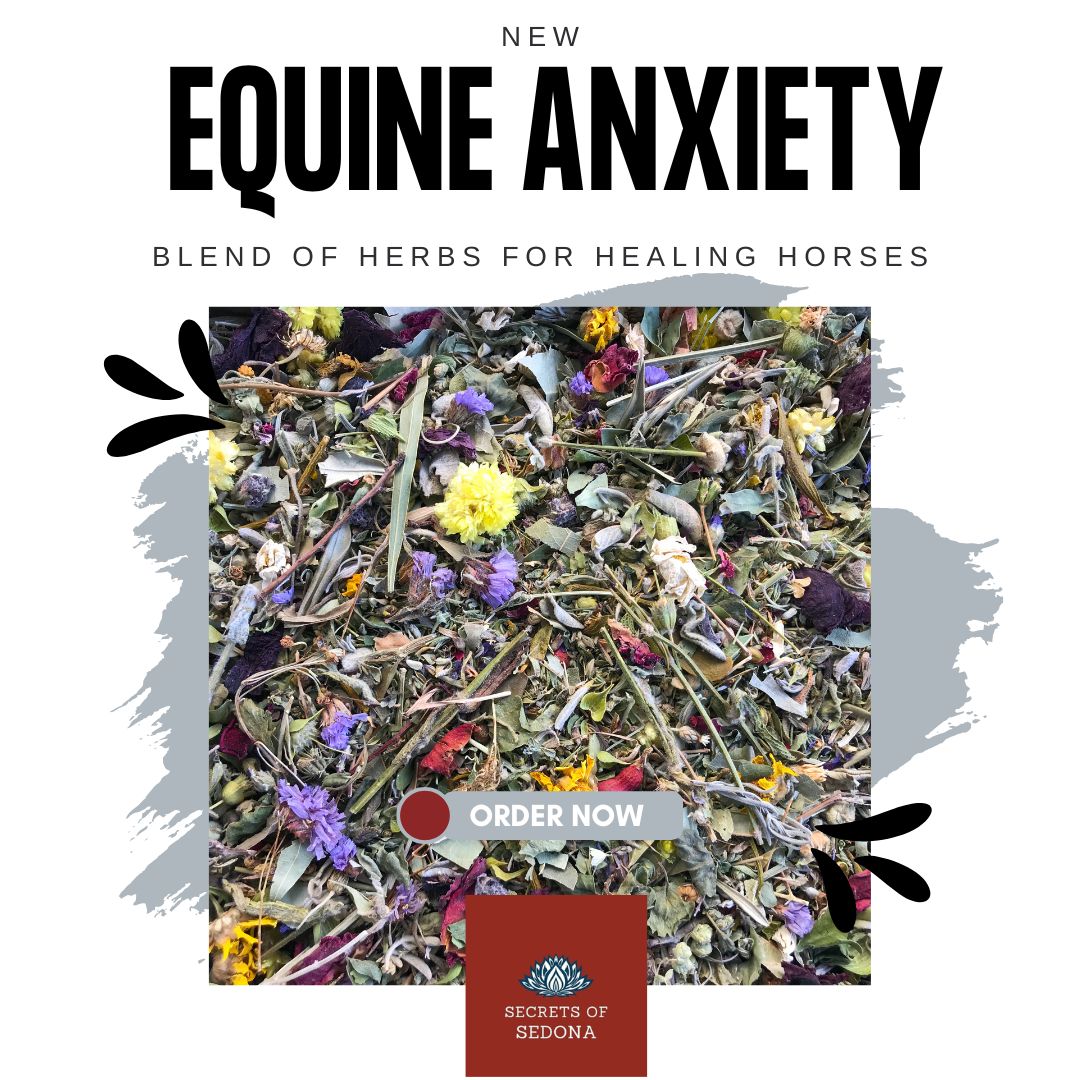 Equine Herbal Blend for Anxiety Support in Horses & Pets