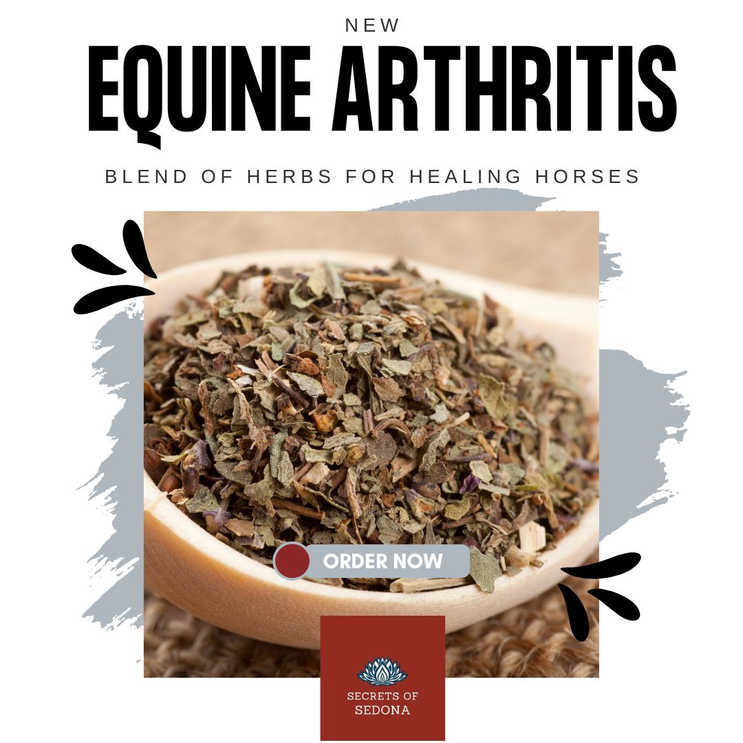 Equine Herbal Blend for Arthritis Support in Horses