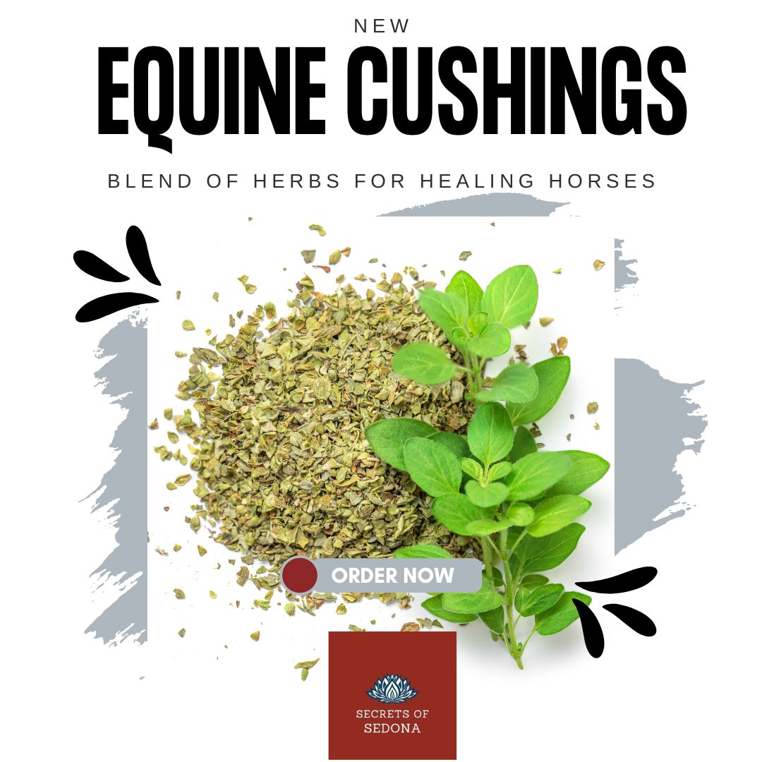 Equine Herbal Cushings Blend