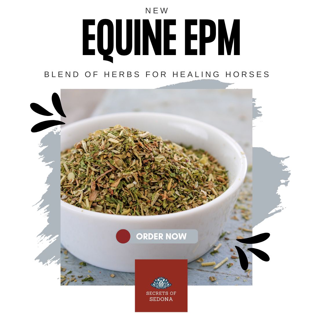 Equine Herbal Blend for EPM