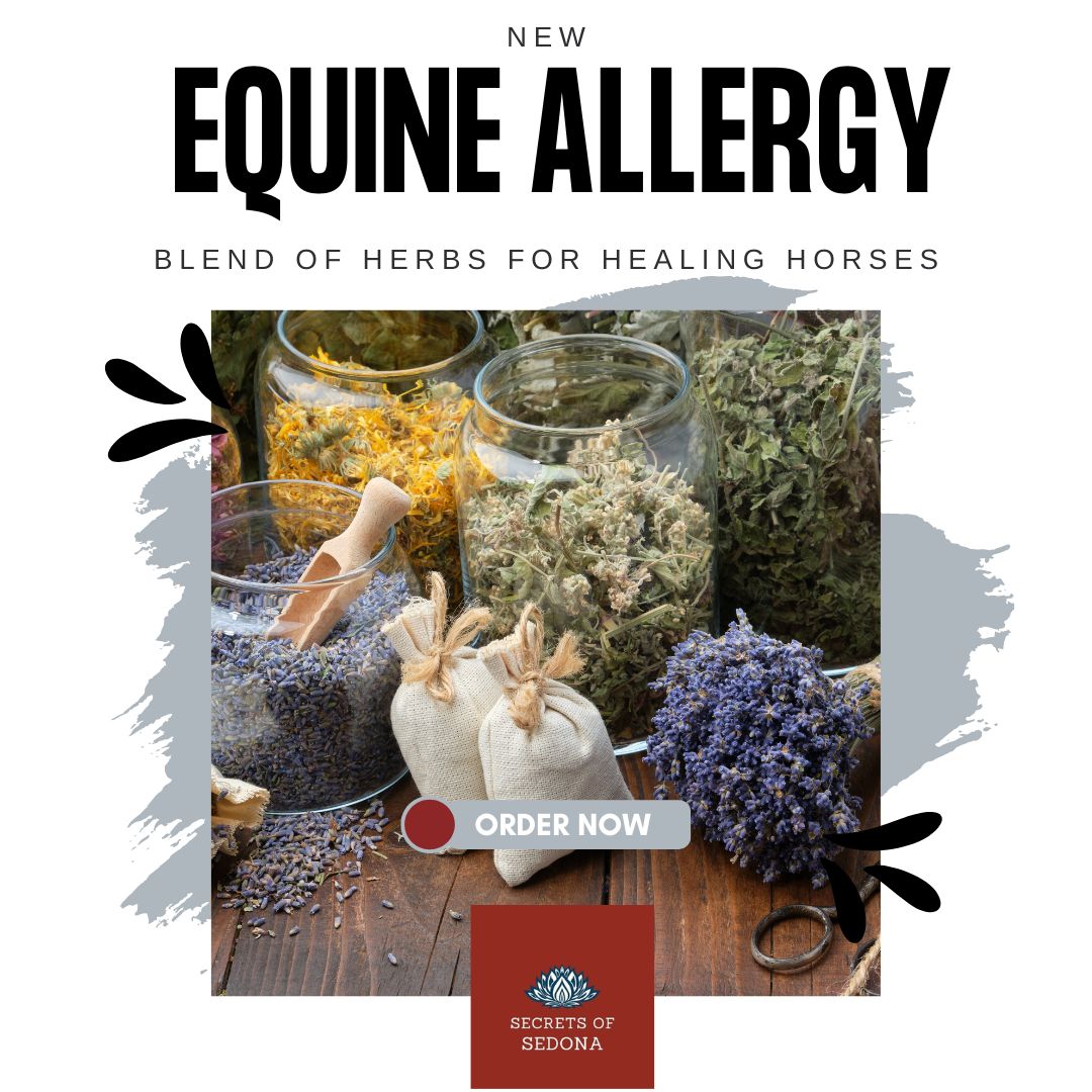 Equine Herbal Blend for Allergy Support In Horses