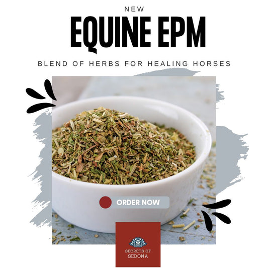 Equine Herbal Blend for EPM